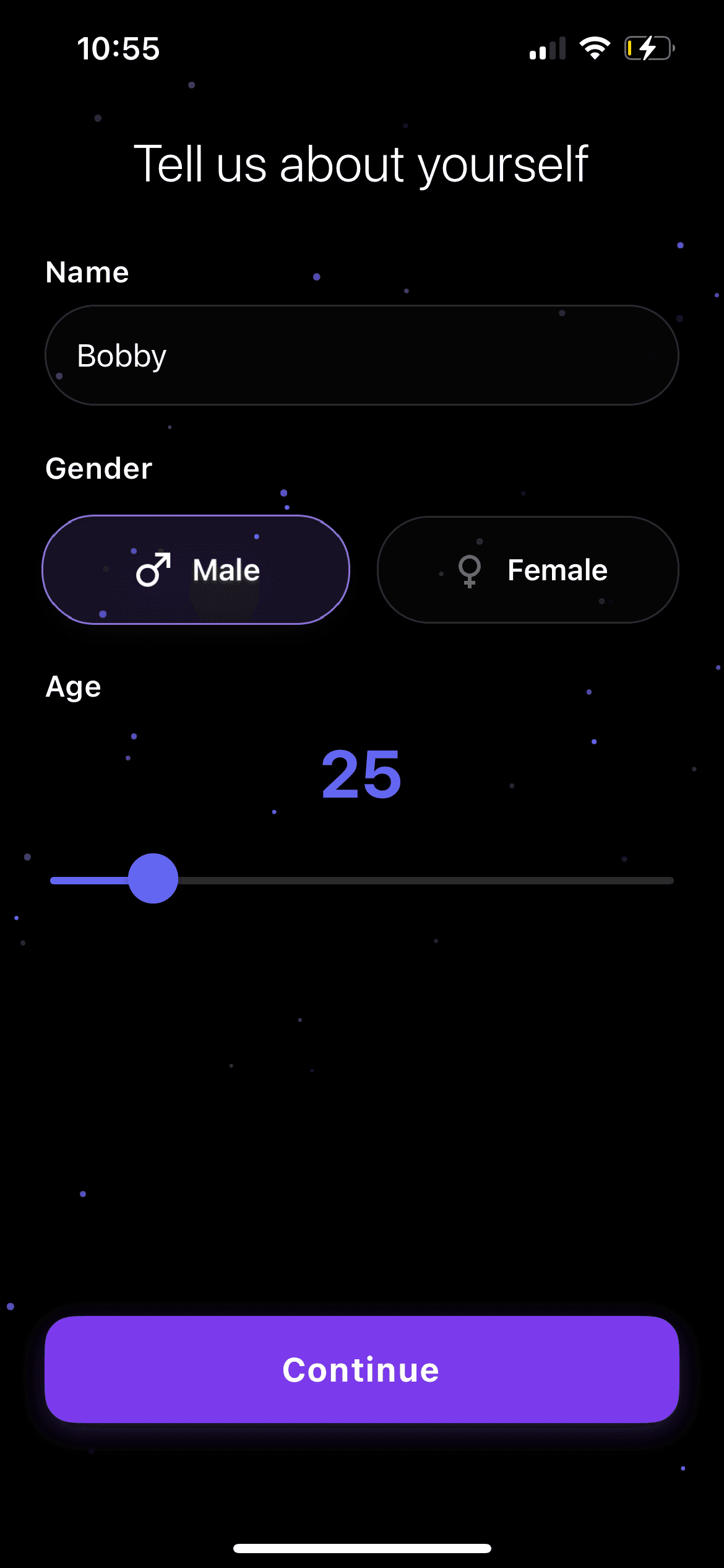 App screenshot 3